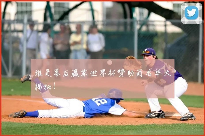 谁是幕后赢家世界杯赞助商名单大揭秘！
