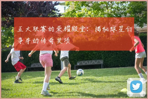 五大联赛的荣耀殿堂：揭秘球星们争夺的传奇奖项